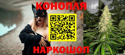 гидропоника Будённовск