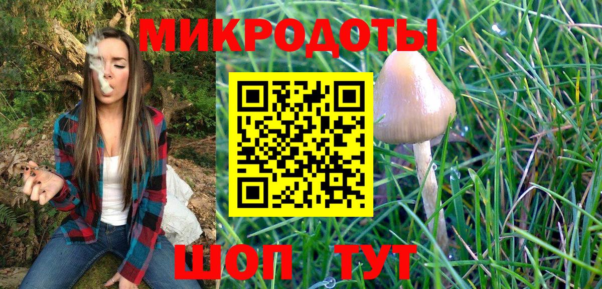 Галлюциногенные грибы Psilocybe  Галлюциногенные грибы Psilocybe  Тимашёвск  Вход с VPN 