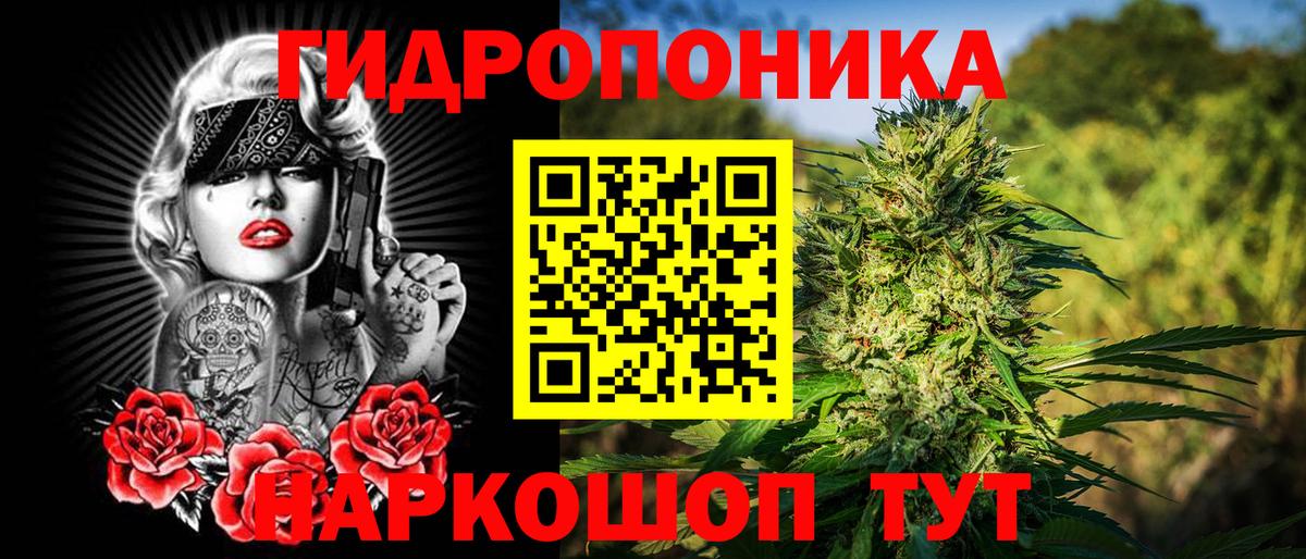 Бошки Шишки индика Тимашёвск